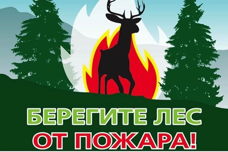 Посещение пожарно–химической станции в филиале САУ ВО «Вологдалесхоз» «Грязовецкий лесхоз».